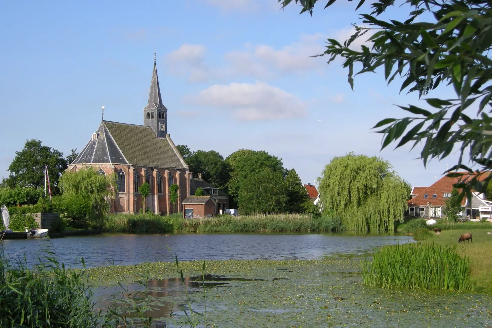 Zonnekroon-Gebieden zomer 1km