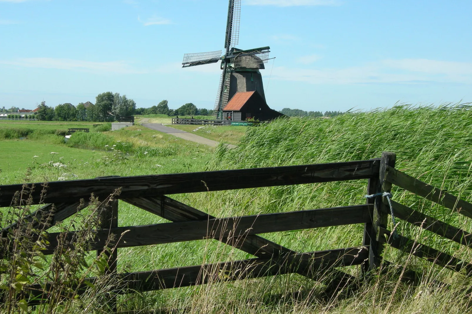 Zonnekroon-Gebieden zomer 5km