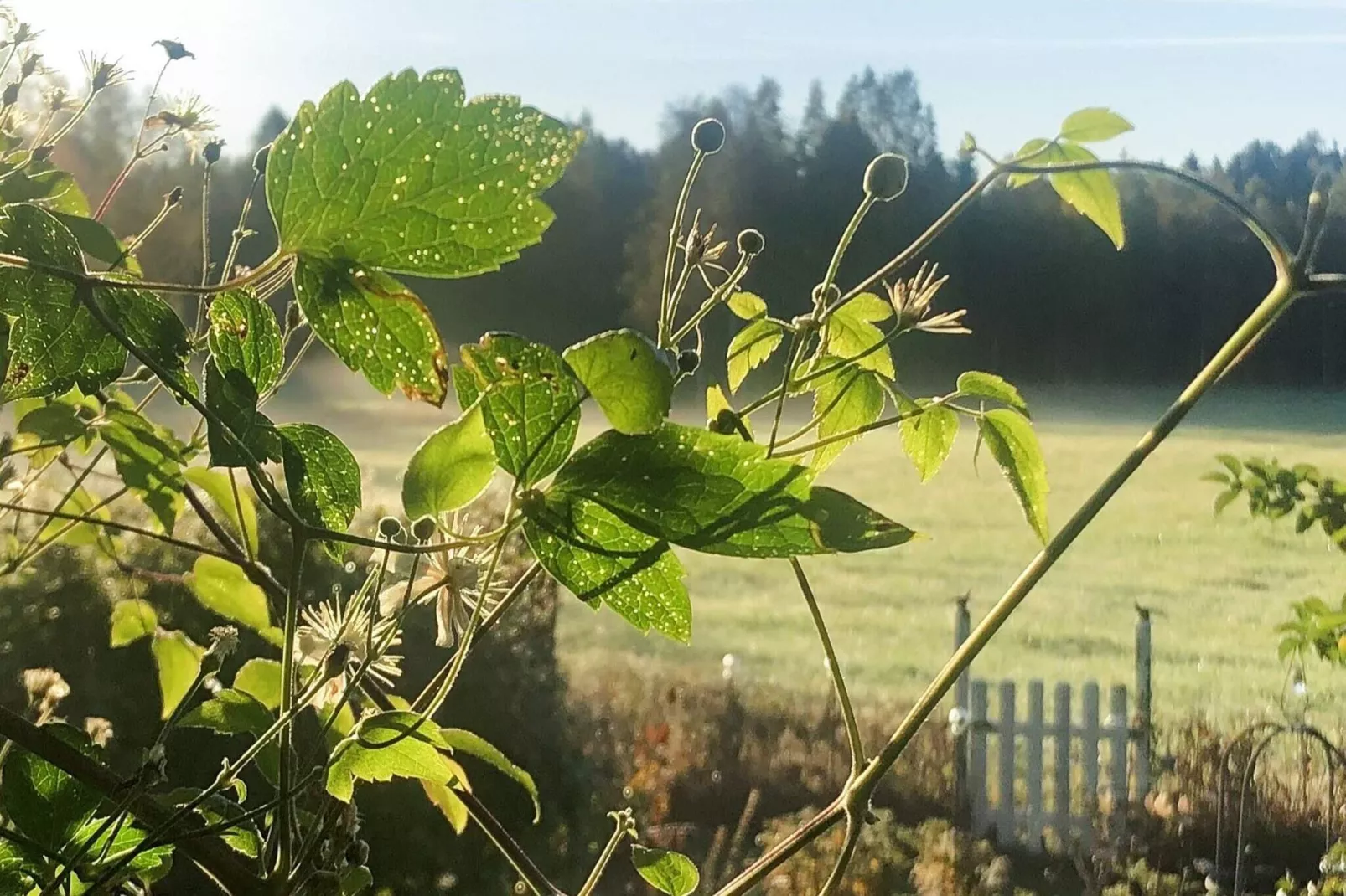 7 persoons vakantie huis in NÄSSJÖ-Niet-getagd