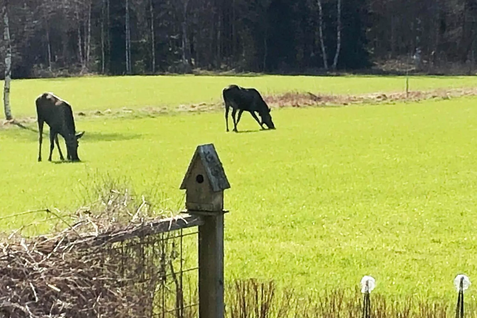 7 persoons vakantie huis in NÄSSJÖ-Niet-getagd