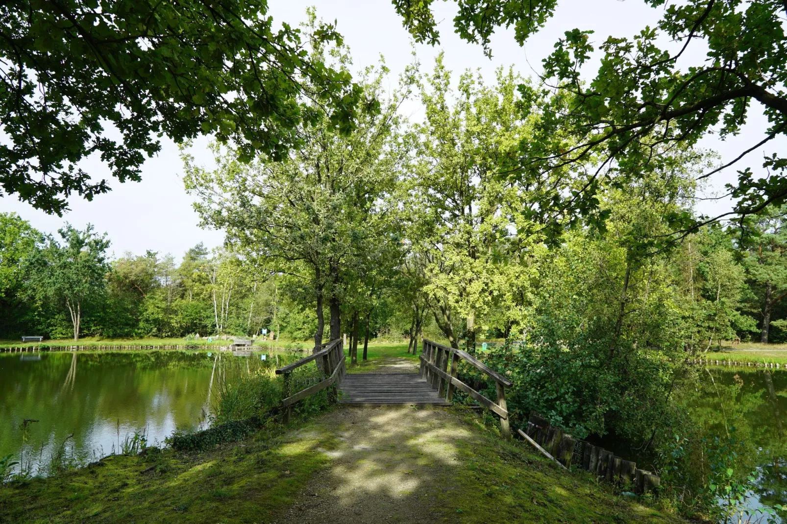 Resort Zilverstrand 12-Gebieden zomer 1km