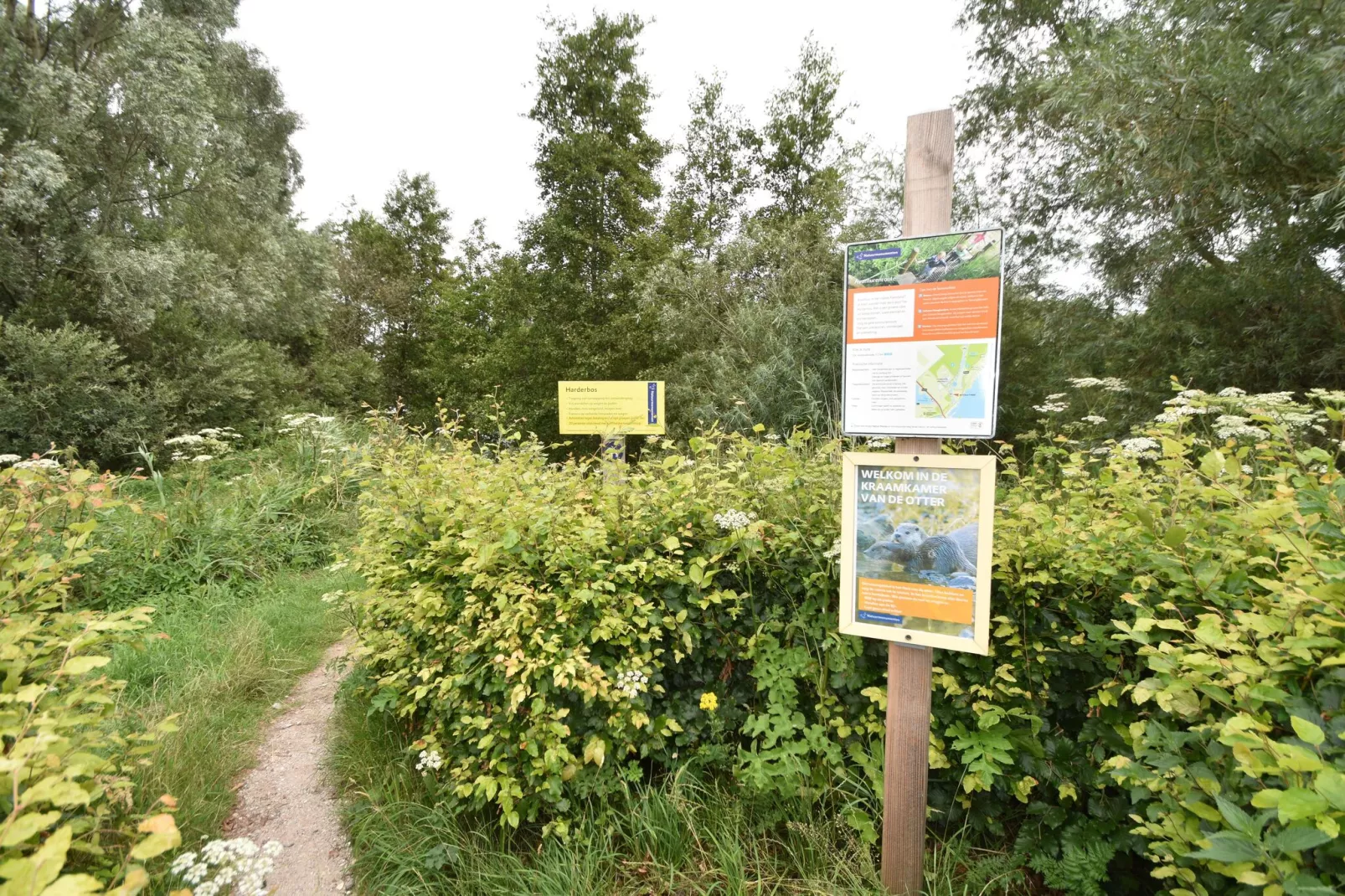 Casa Reyes al Lago 560-Gebieden zomer 5km