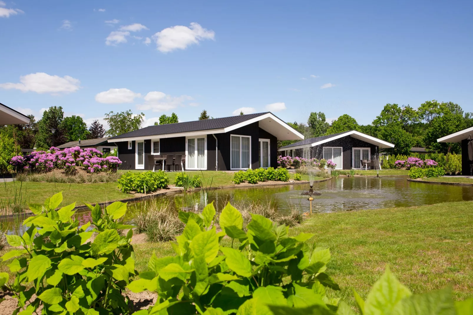 Vakantiepark Molenvelden 1-Buitenkant zomer