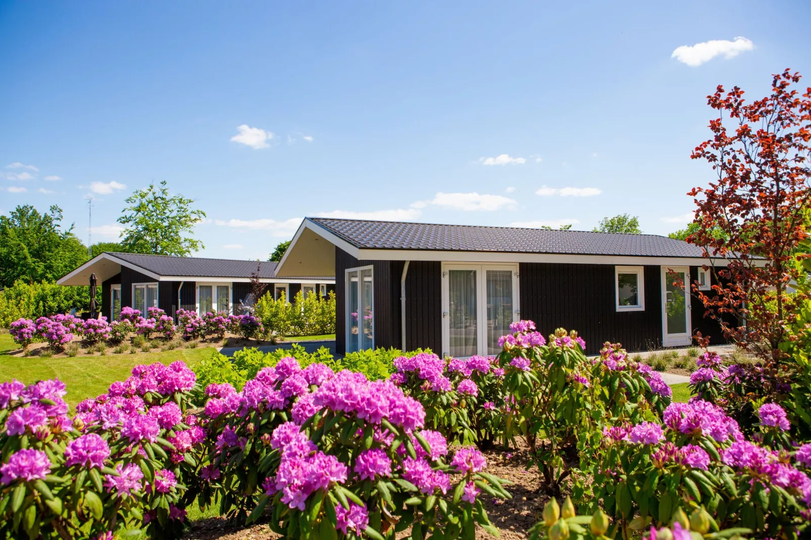 Vakantiepark Molenvelden 1-Buitenkant zomer