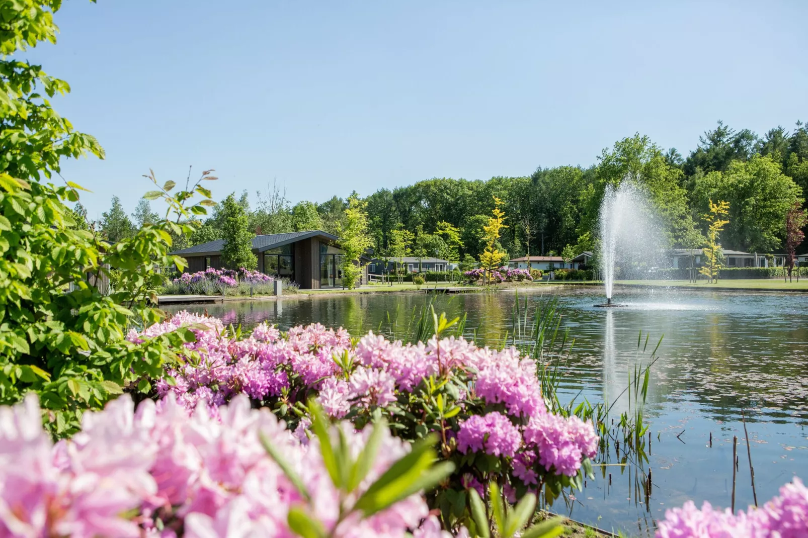 Vakantiepark Molenvelden 1-Parkfaciliteiten