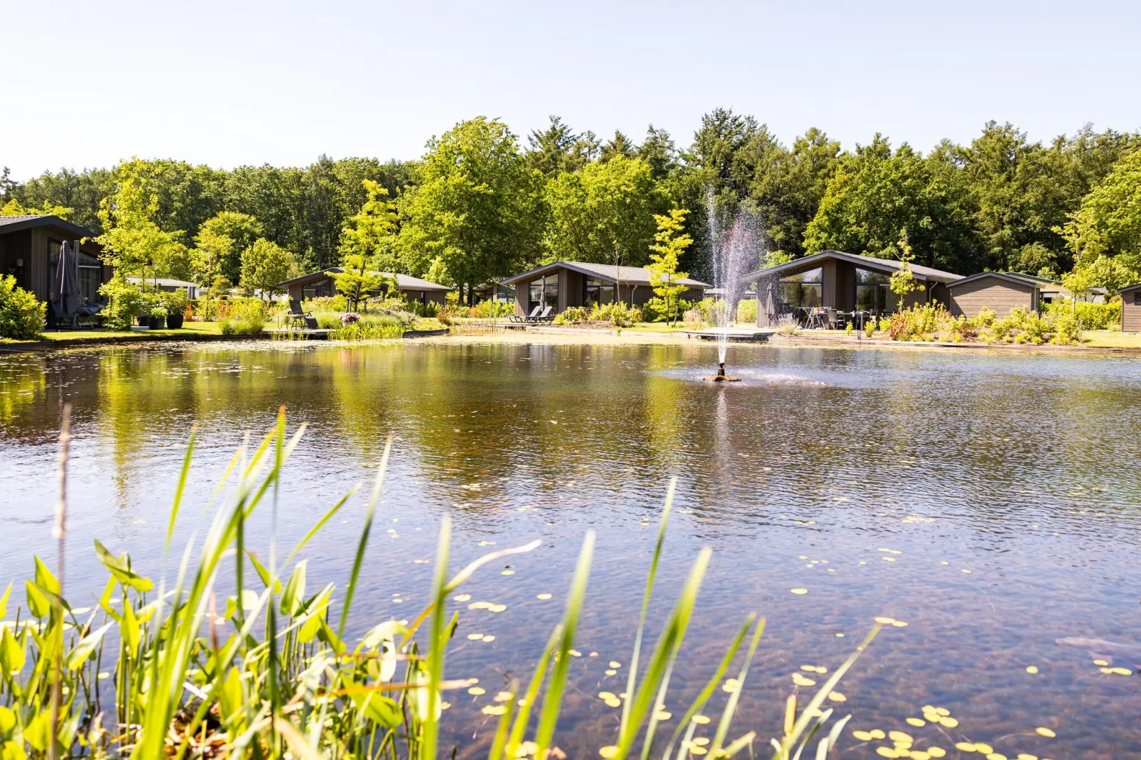 Vakantiepark Molenvelden 3-Parkfaciliteiten