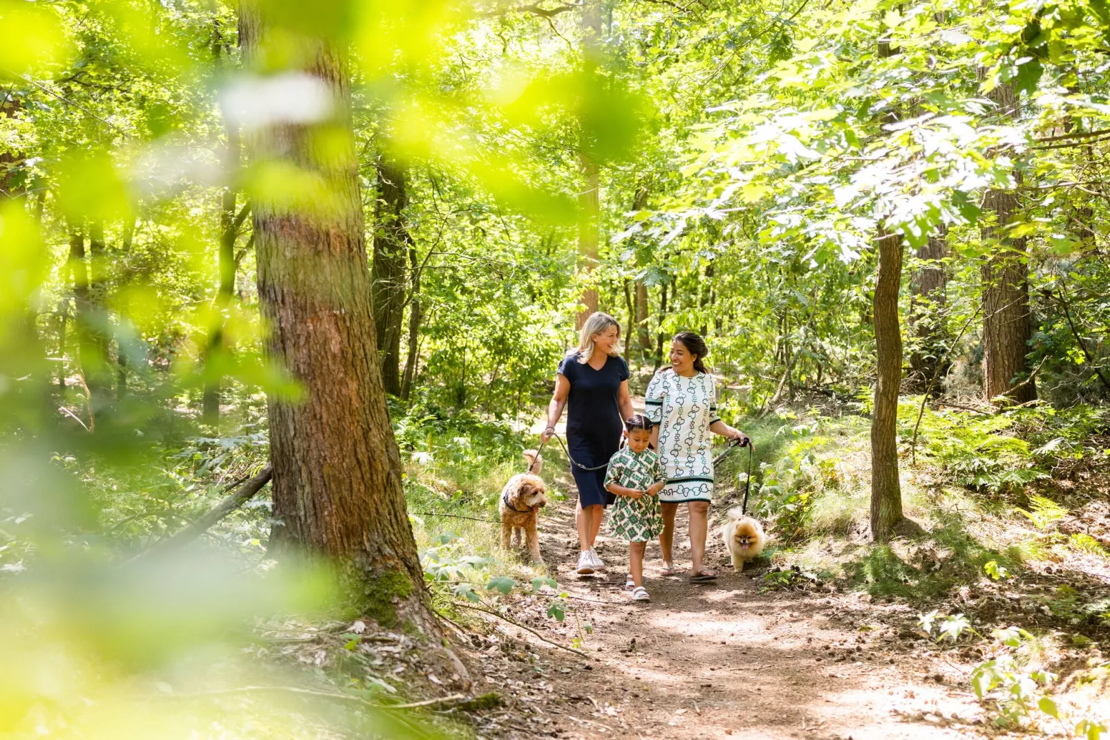 Vakantiepark Molenvelden 7-Gebieden zomer 1km