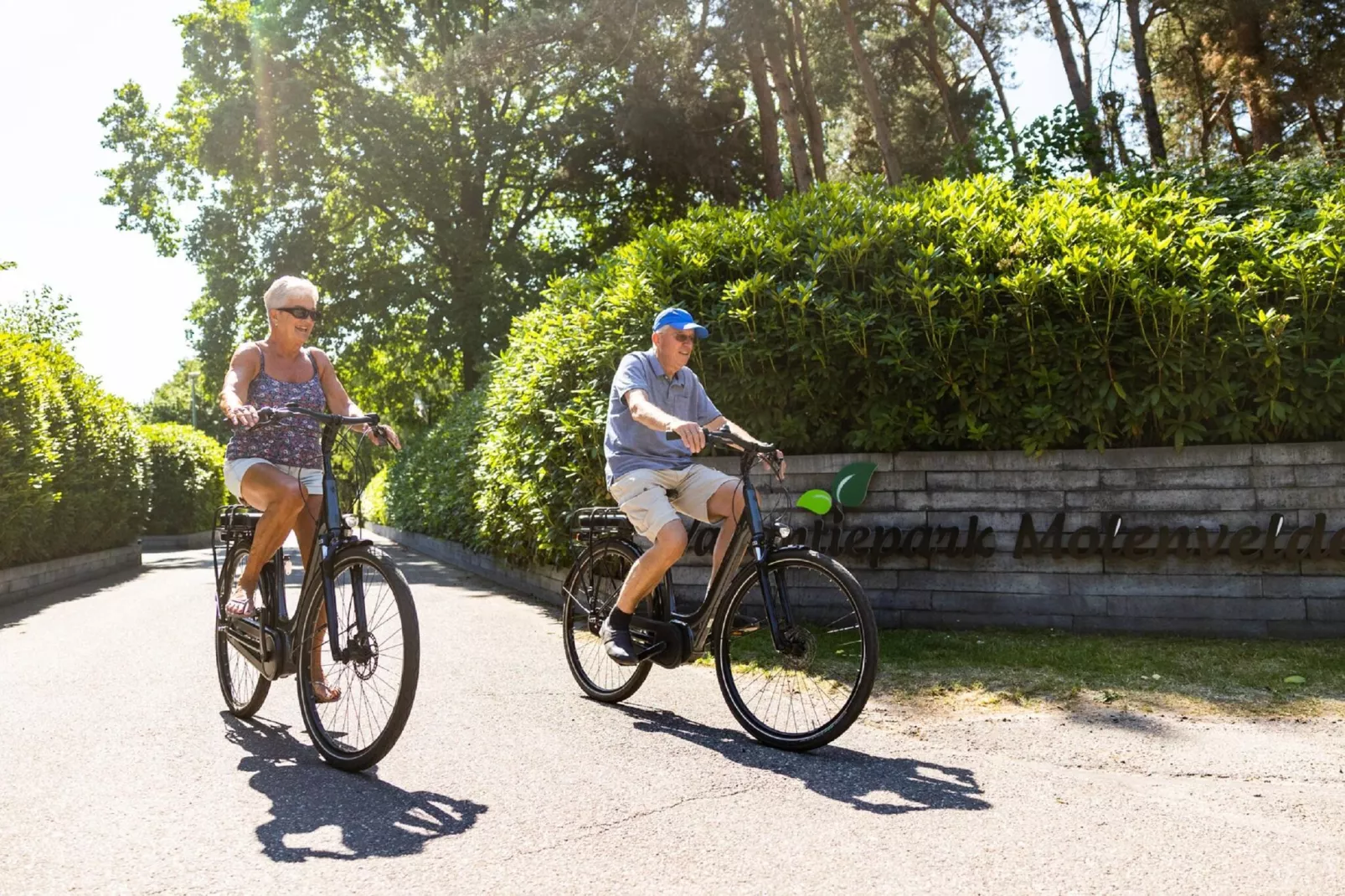 Vakantiepark Molenvelden 8-Gebieden zomer 1km