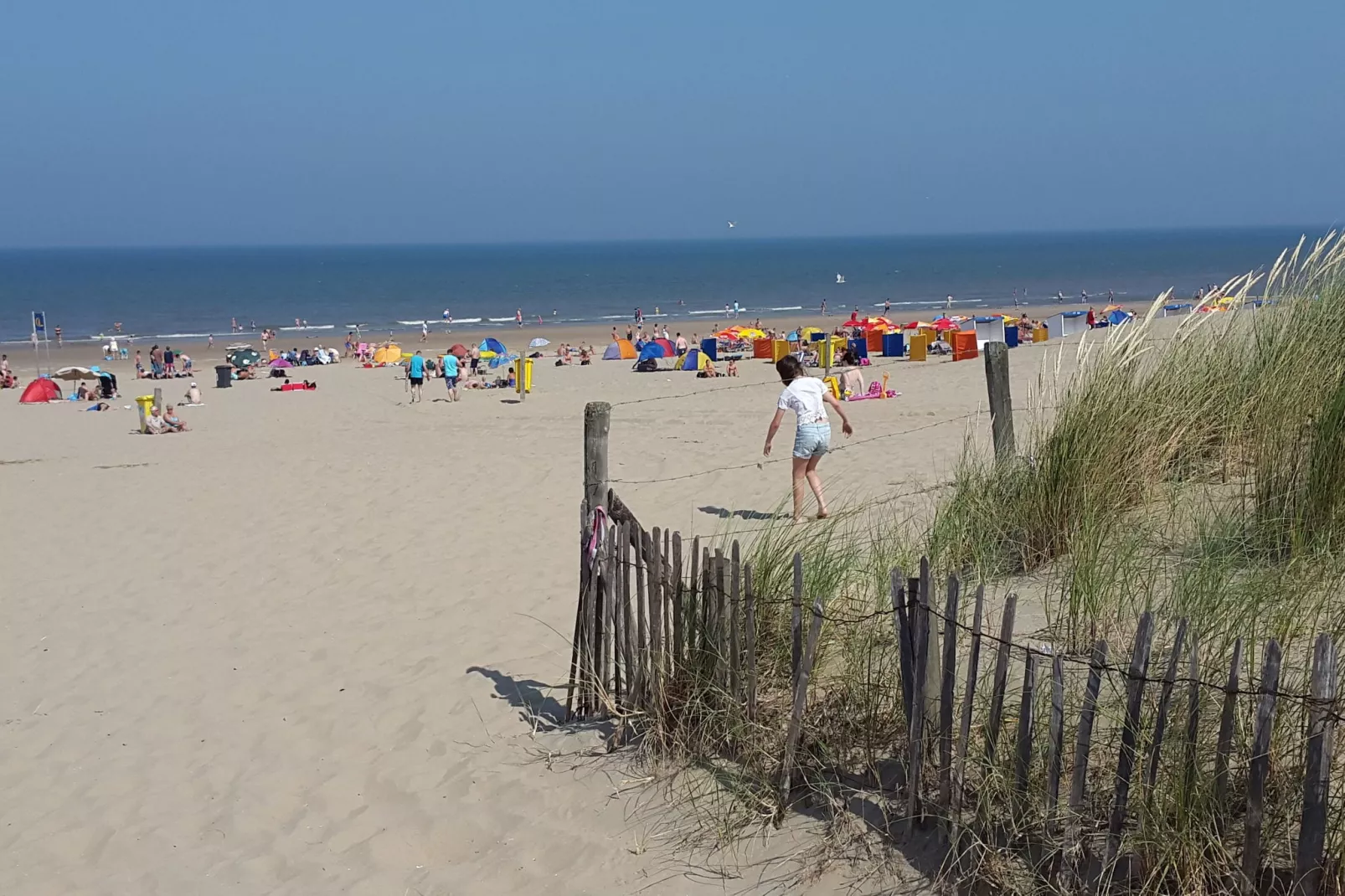 De Veranda-Gebieden zomer 5km