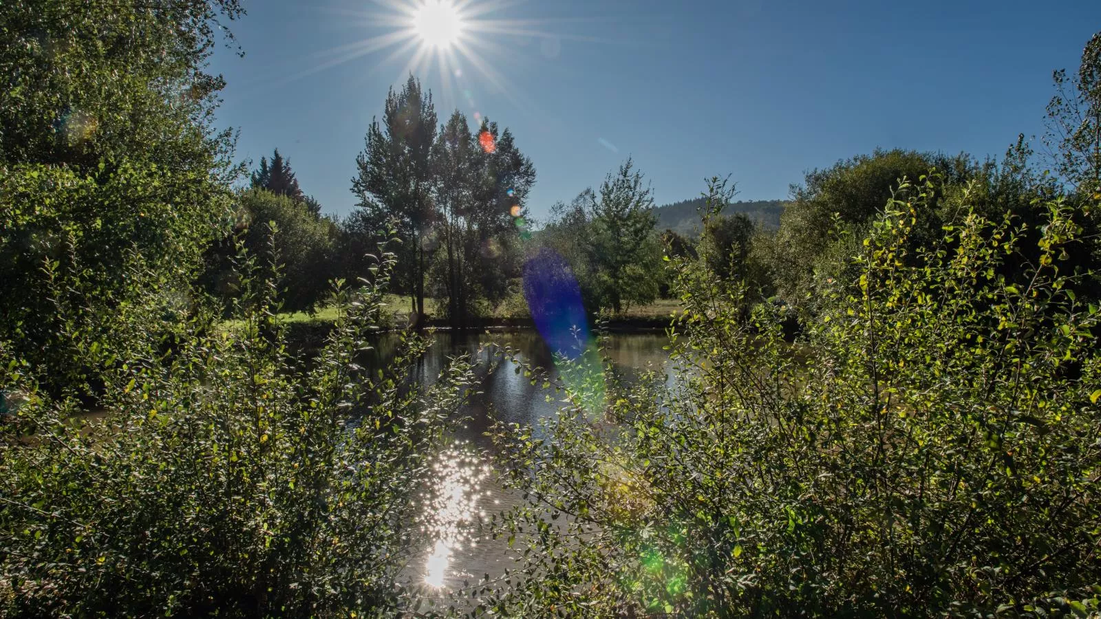 Lac Bleu nr 19-Uitzicht zomer