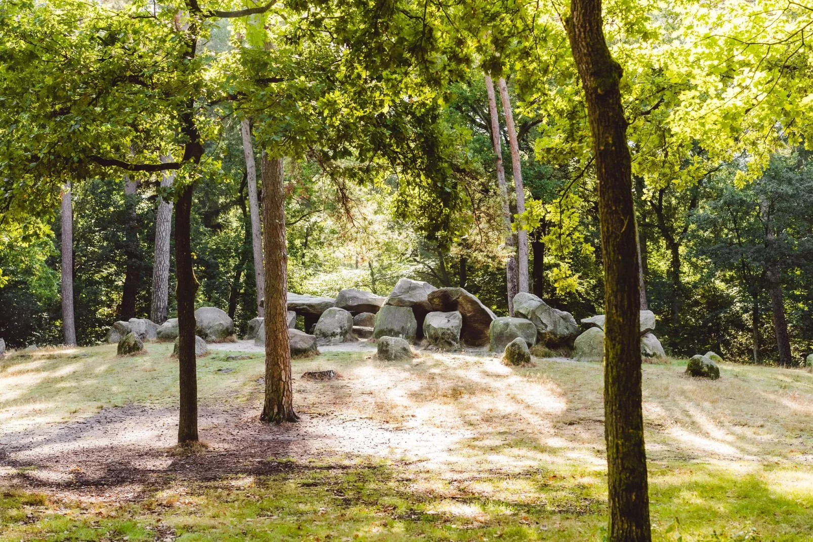 Hunzepark 7-Gebieden zomer 5km