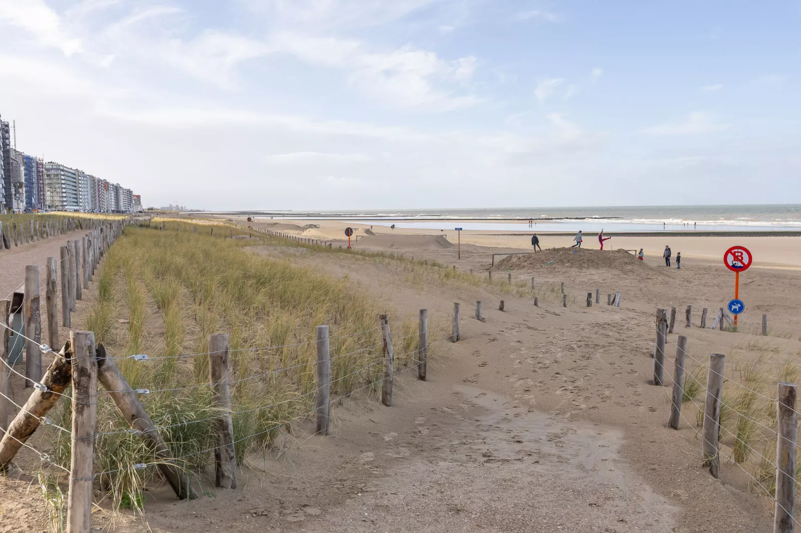 Zandroos 0302-Gebieden zomer 1km