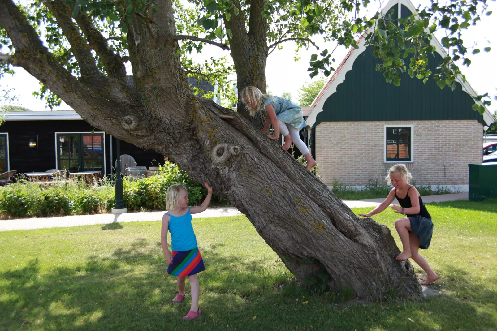 Recreatiepark Wiringherlant - Villa 14-Uitzicht zomer