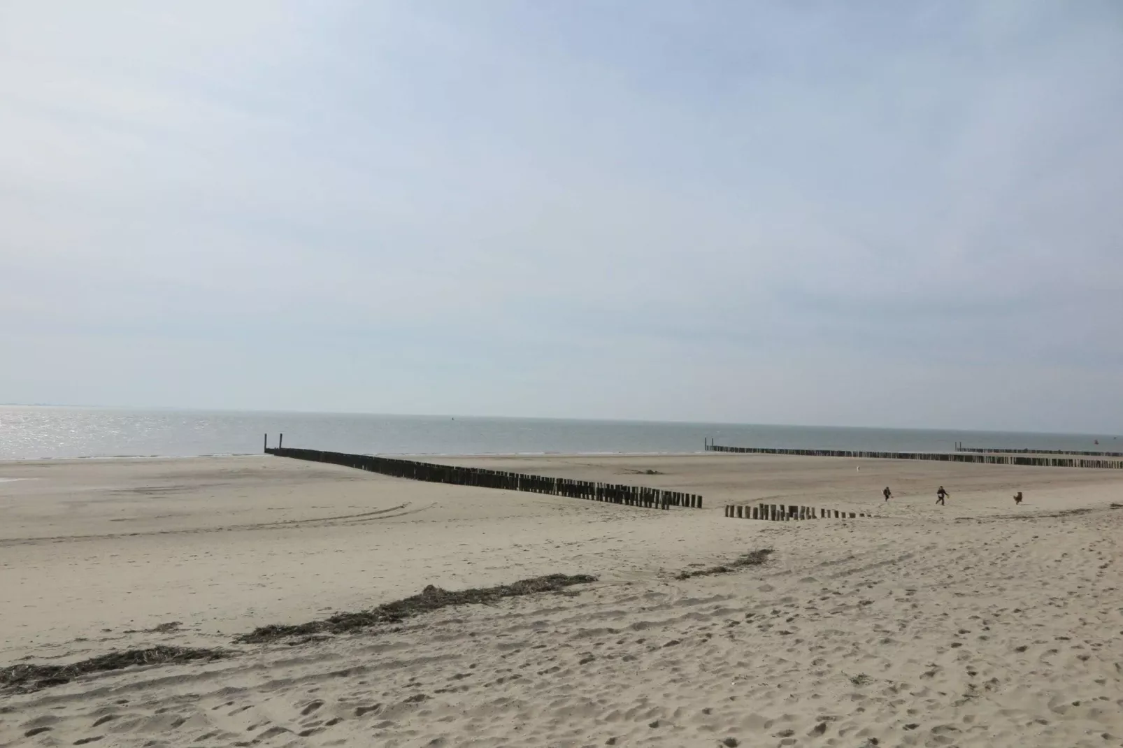 Slaapstrandhuisje - Strand dishoek 60-Uitzicht zomer