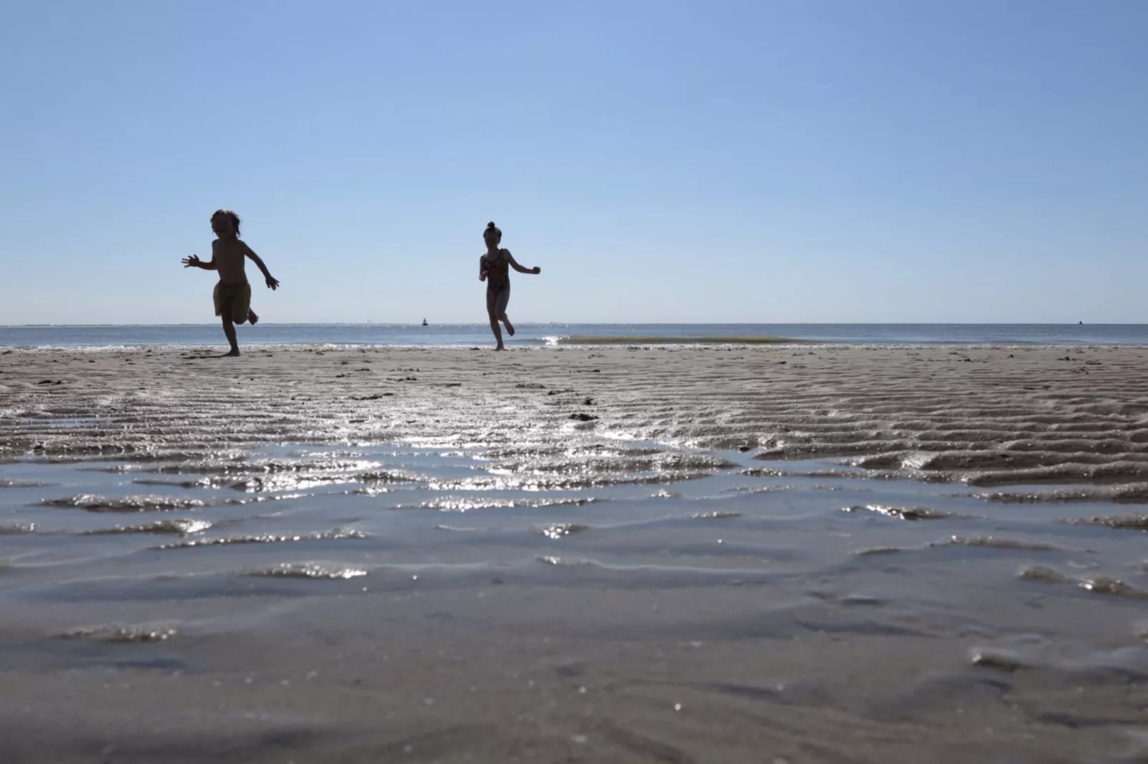 Slaapstrandhuisje - Strand dishoek 60-Tuinen zomer