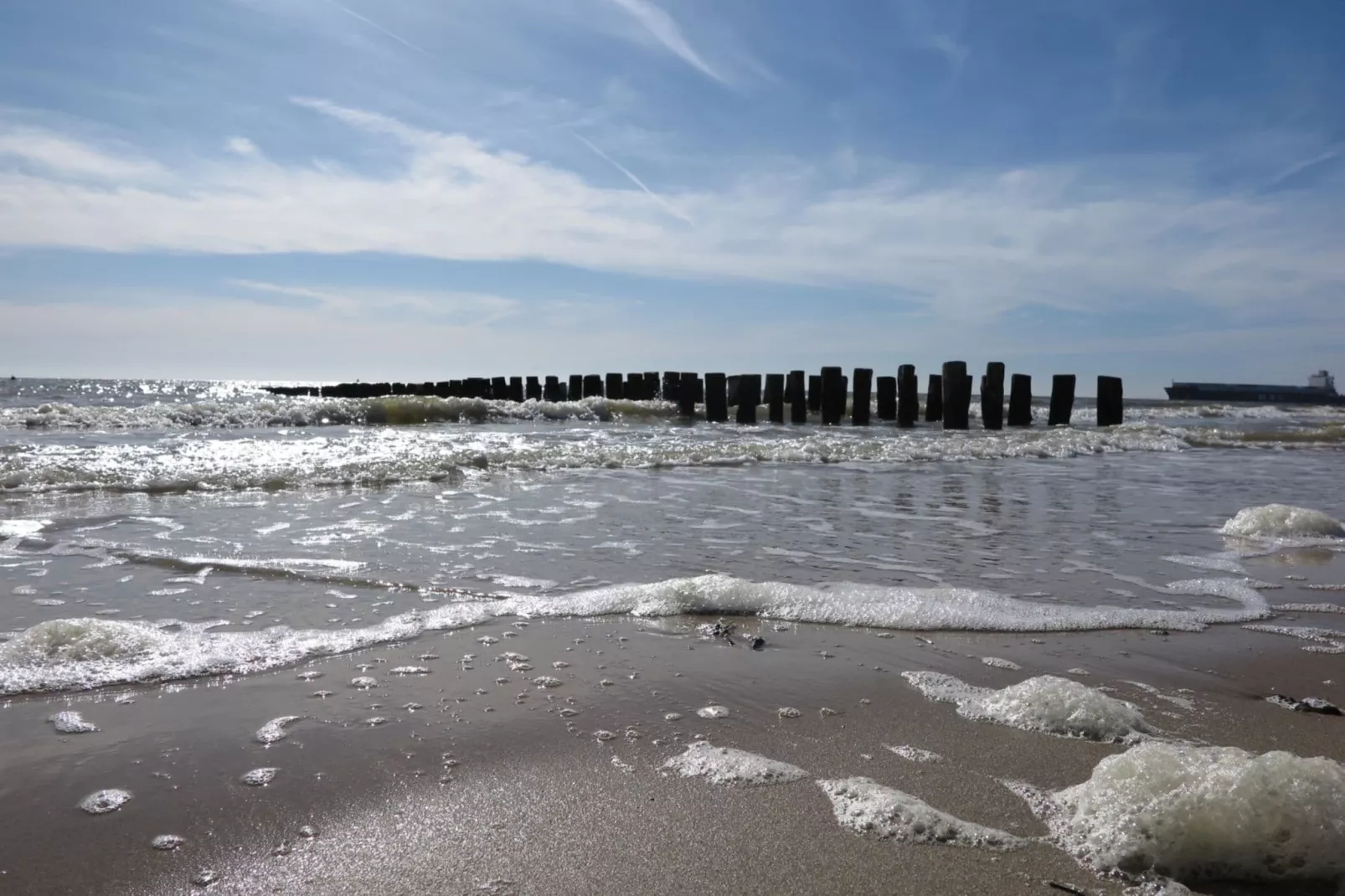 Slaapstrandhuisje - Strand dishoek 60-Tuinen zomer