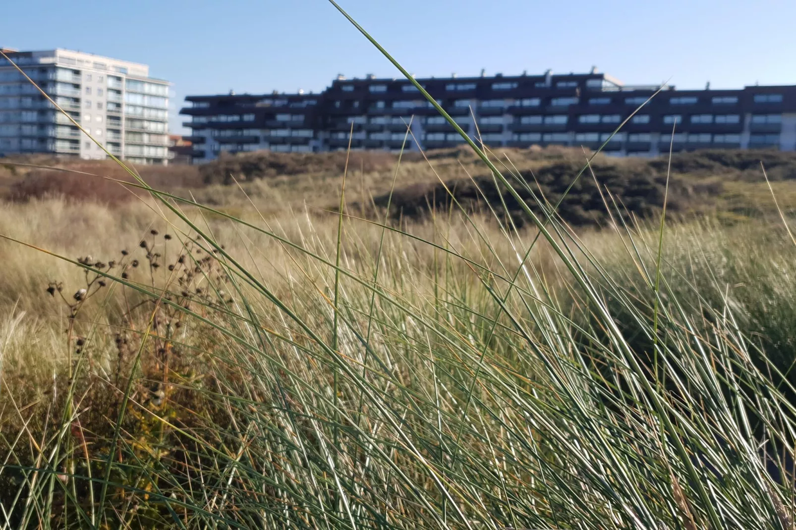 VILLA CO/VILLA CO-Gebieden zomer 1km