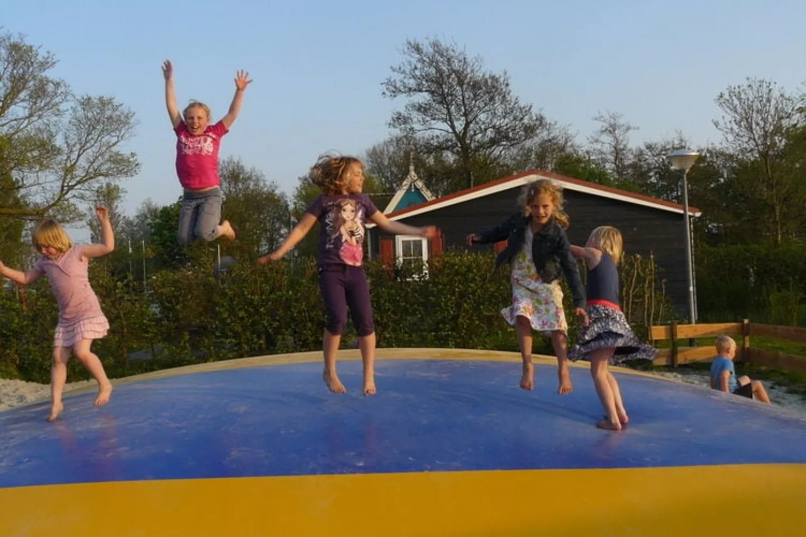 Recreatiepark Wiringherlant 50-Uitzicht zomer