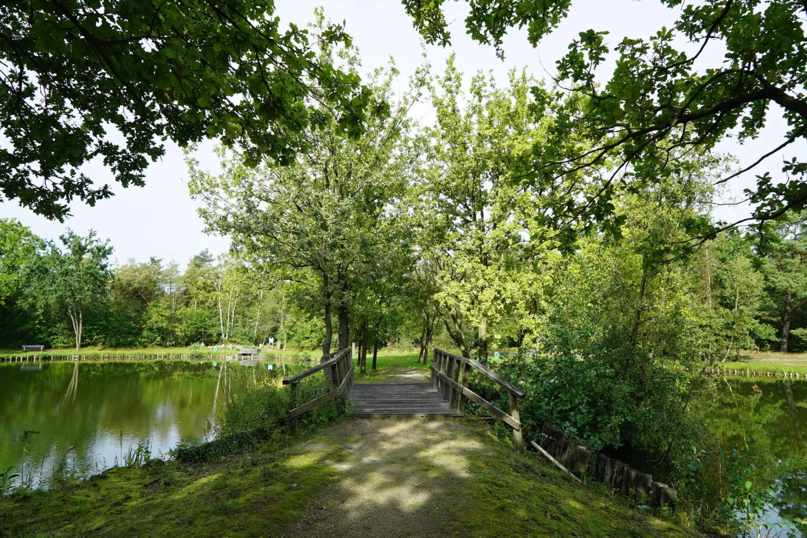 Resort Zilverstrand 13-Gebieden zomer 1km