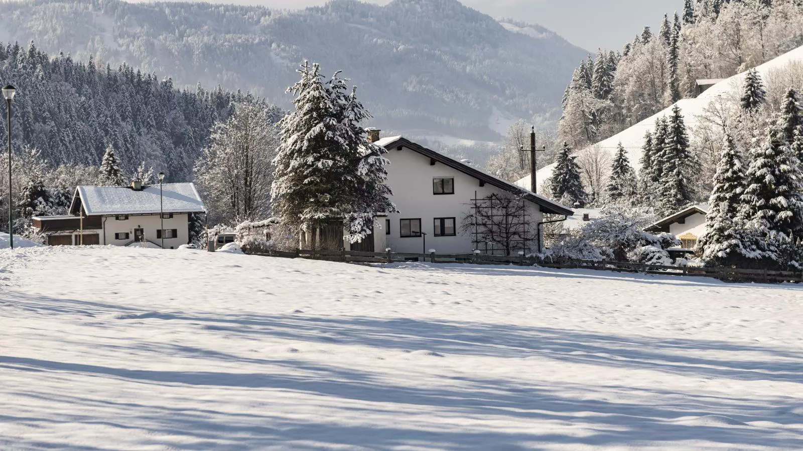 Ferienhaus Platzhirsch-Exterieur winter