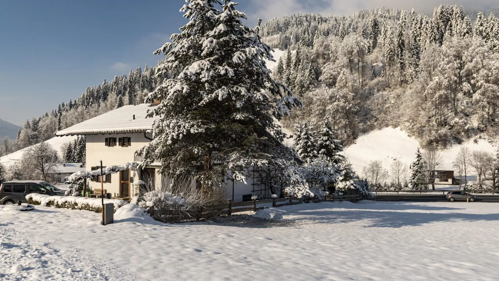 Ferienhaus Platzhirsch-Exterieur winter