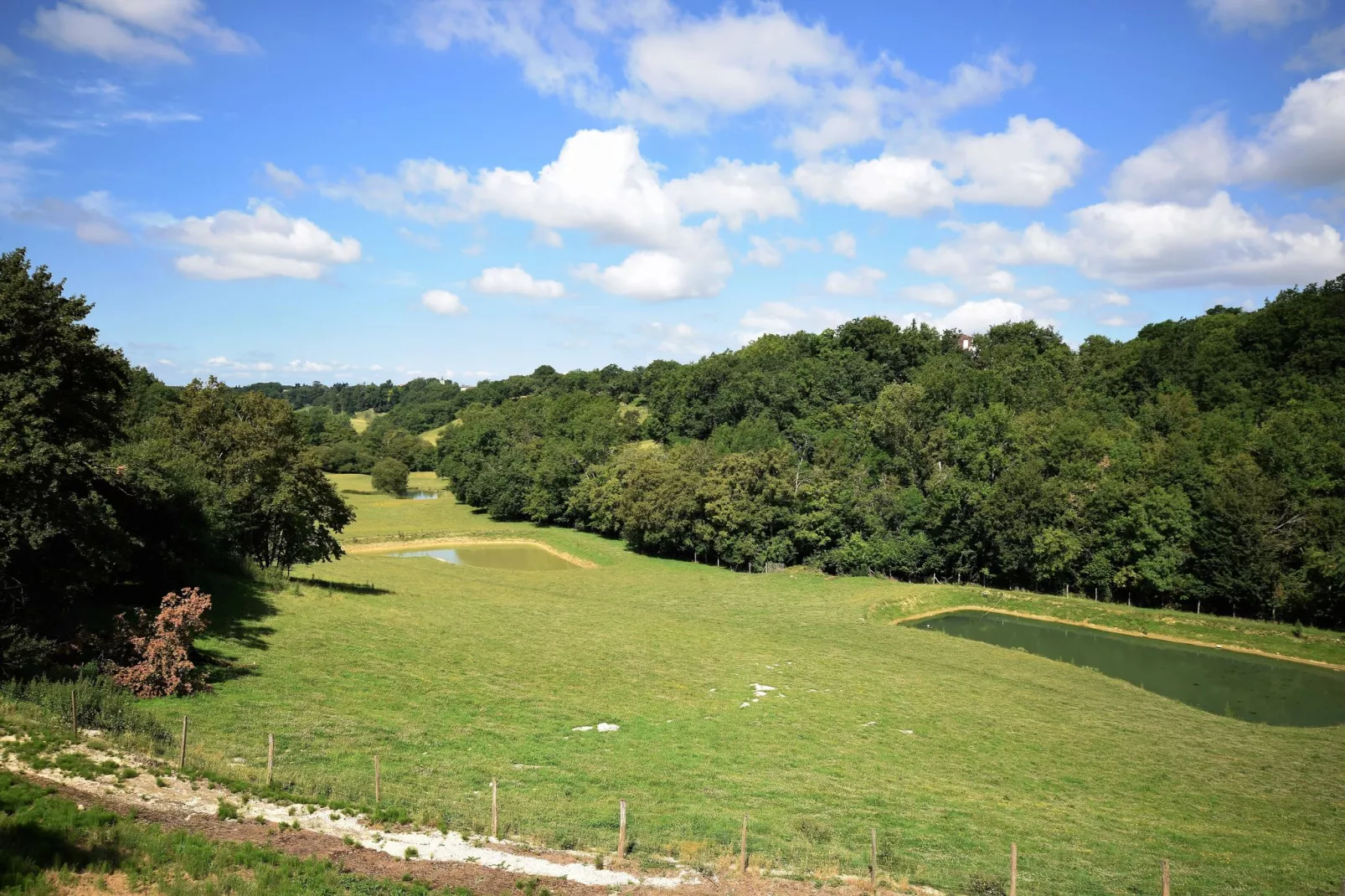 Chateau de plèneselve 12P-Uitzicht zomer