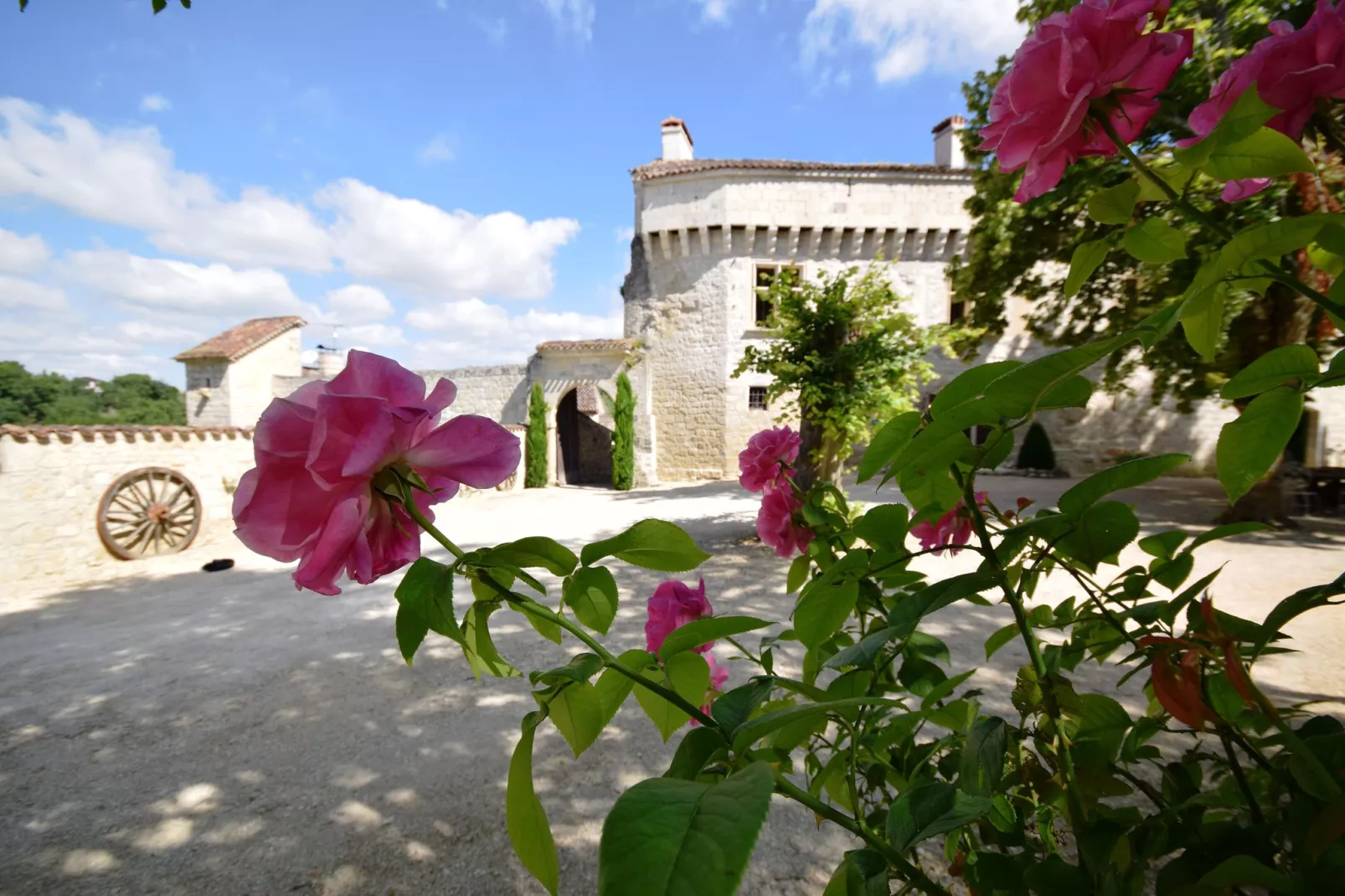 Chateau de plèneselve 12P-Sfeer