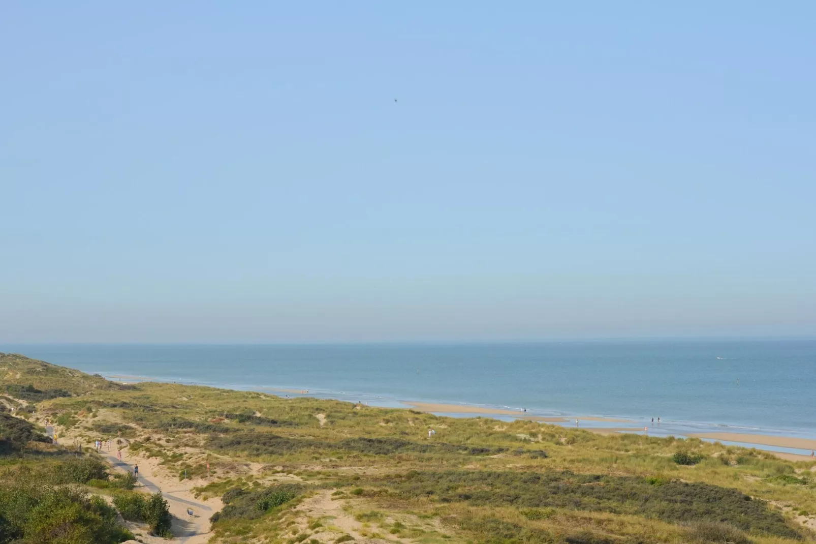 Oostdijk 0501-Gebieden zomer 5km