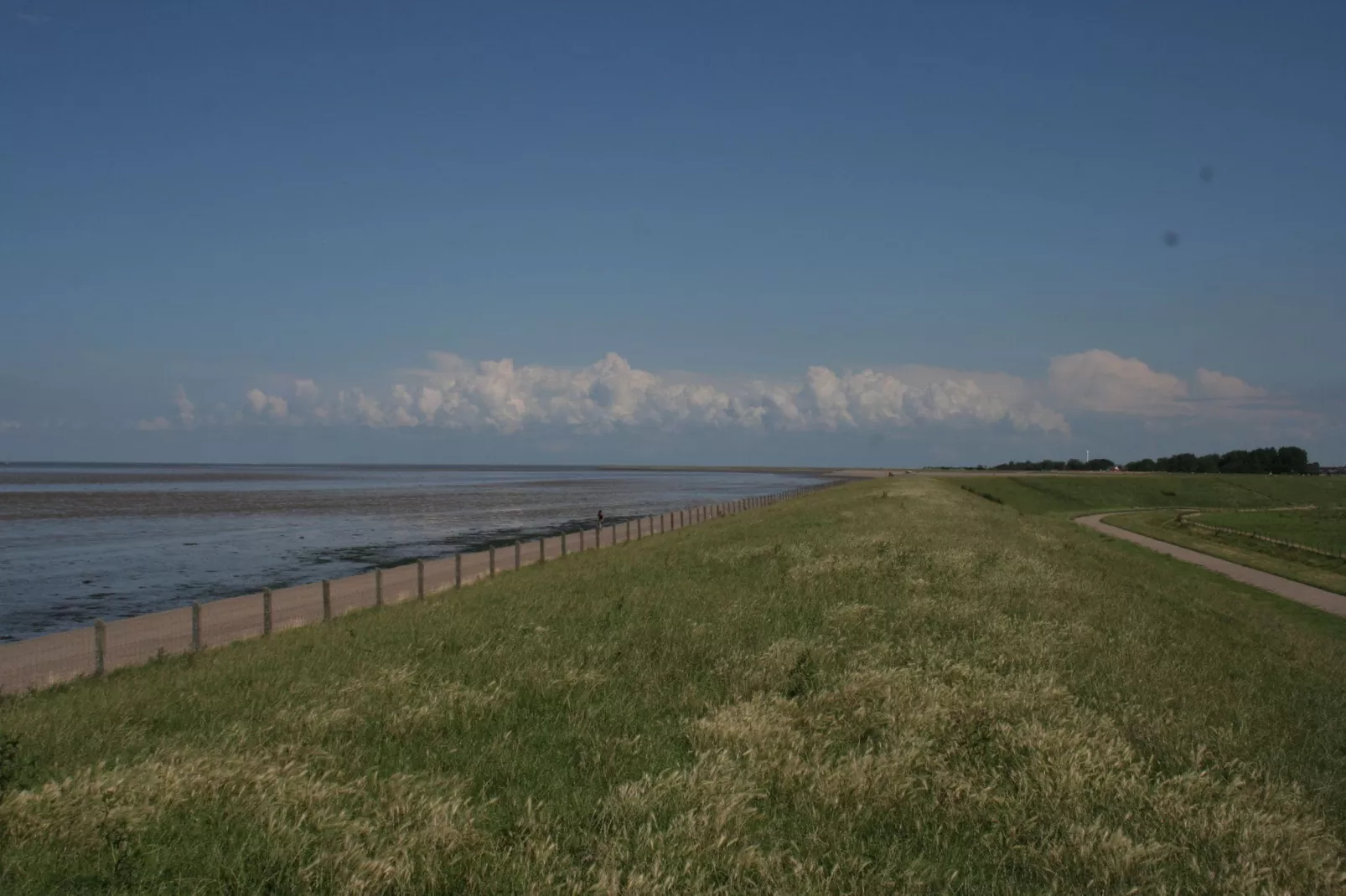 Comfortabel chalet met afwasmachine, vlakbij de Waddenzee-Gebieden zomer 1km