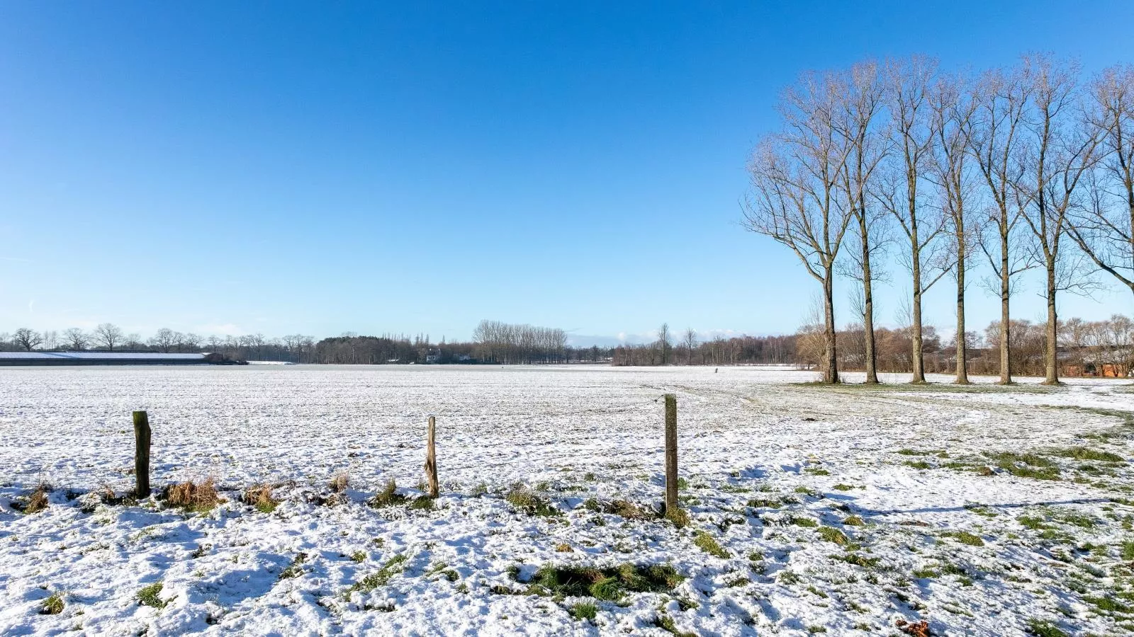 Lindehoeve-Tuin winter