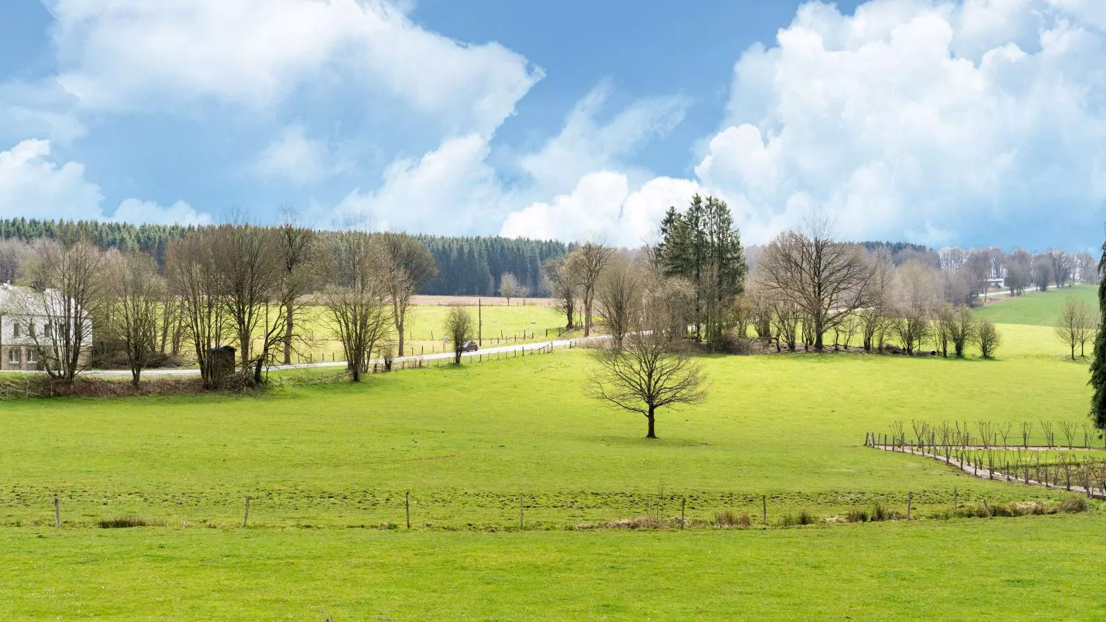 Villa Belvedère-Gebieden zomer 1km