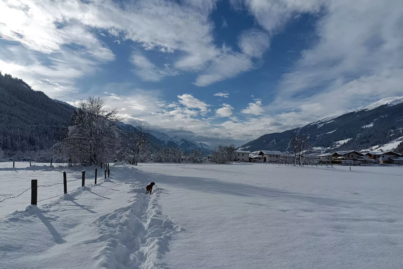 Dorfruh-Gebied winter 5km