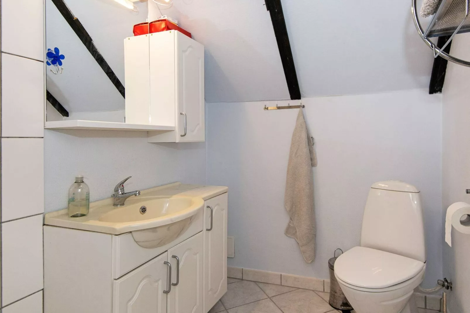 Rustiek rietgedekt huis op Romo-By Traum-Binnen
