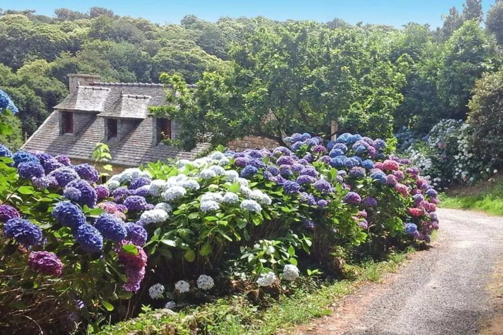 Holiday home Buguélès-Penvénan-Buitenkant zomer