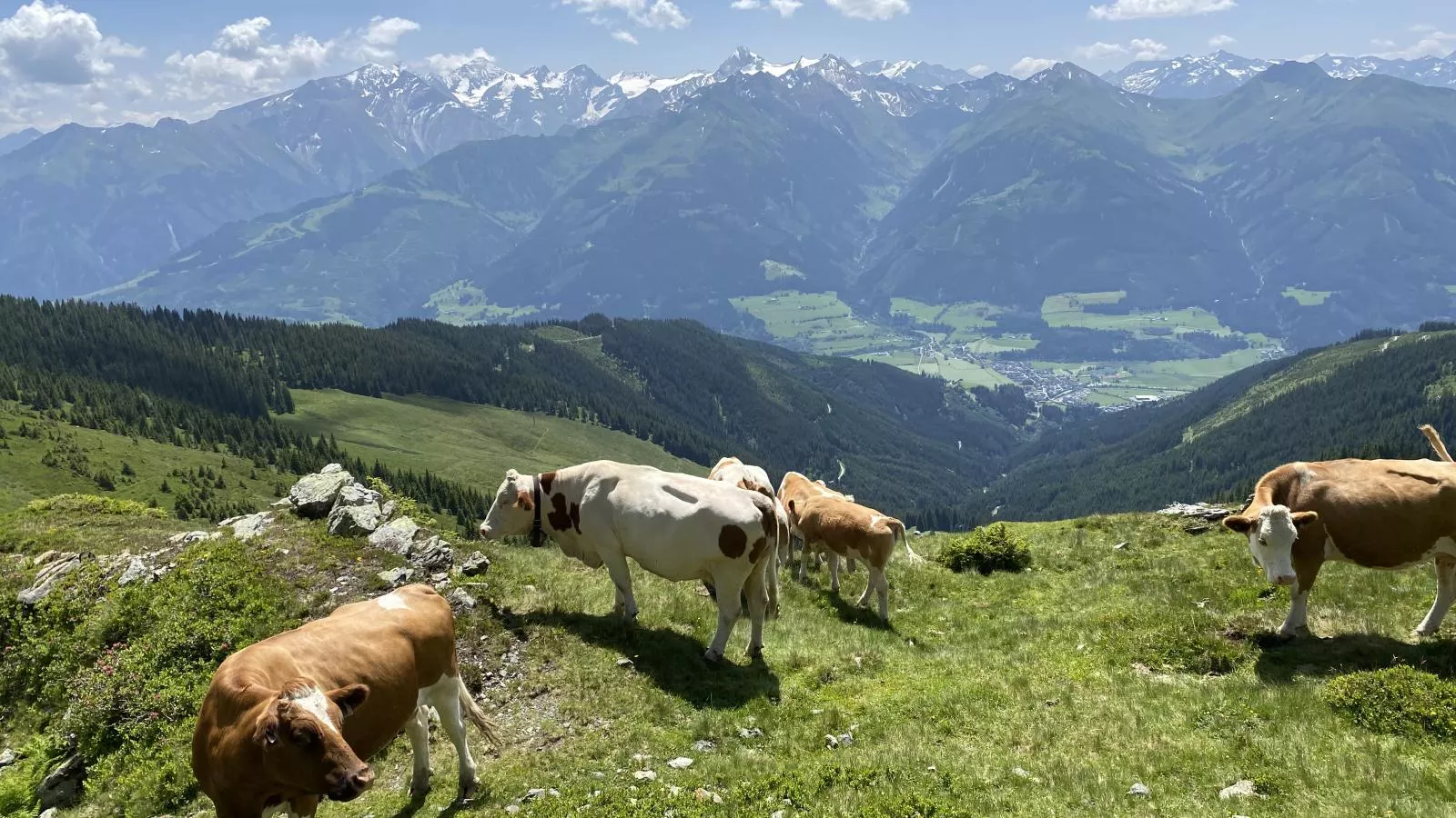 Green Garden Lodge A2 Walchen-Kaprun-Gebieden zomer 5km