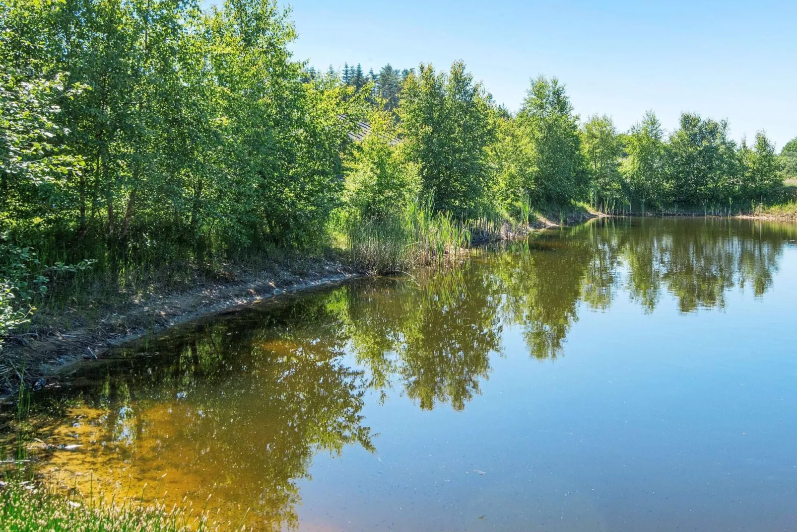 8 persoons vakantie huis in Glesborg-Waterzicht