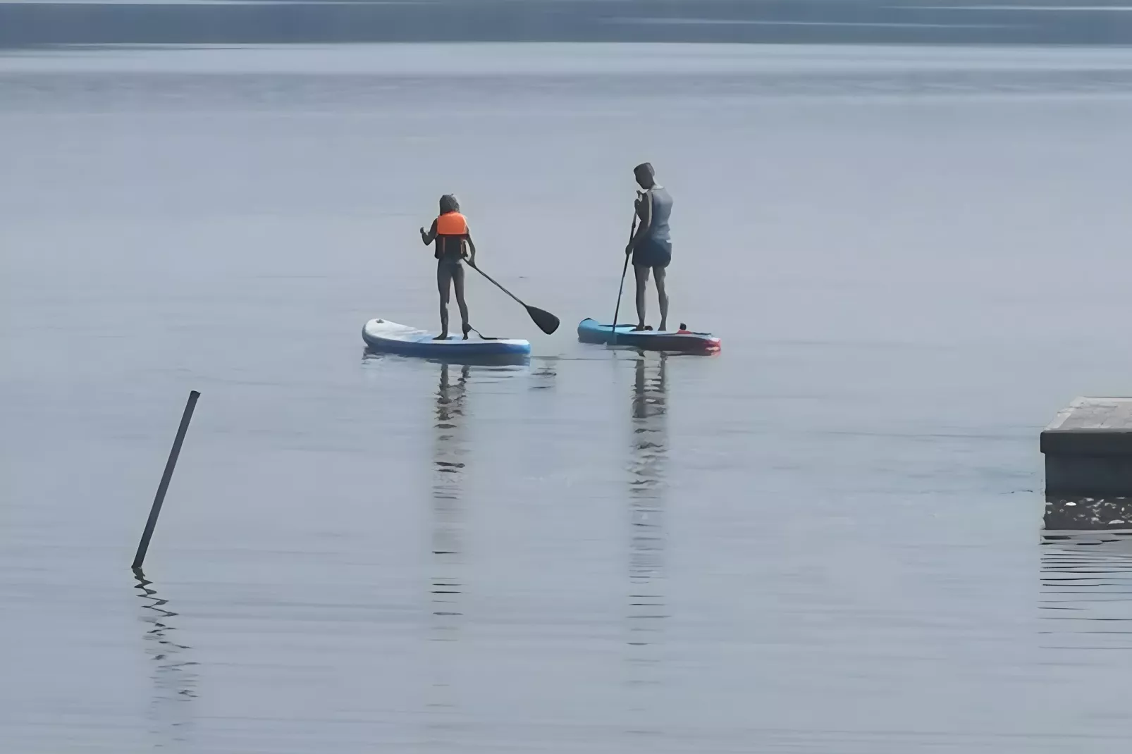 Ferienwohnung am Goldberger See-Gebieden zomer 1km