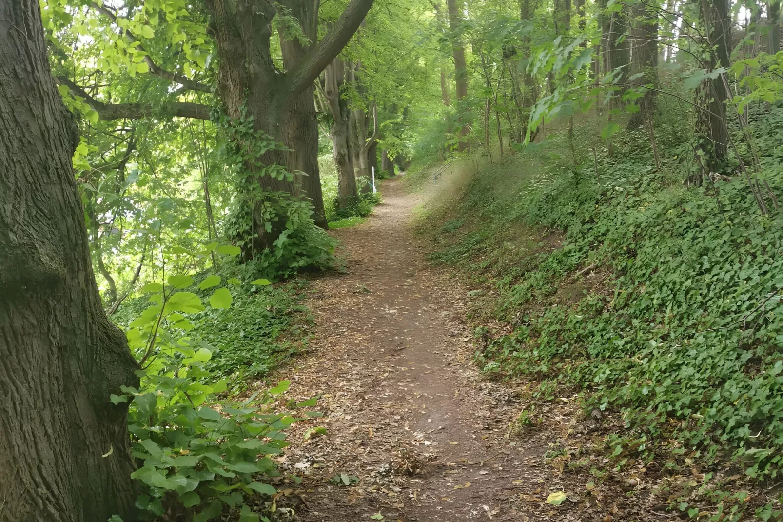 Ferienwohnung am Goldberger See-Gebieden zomer 20km