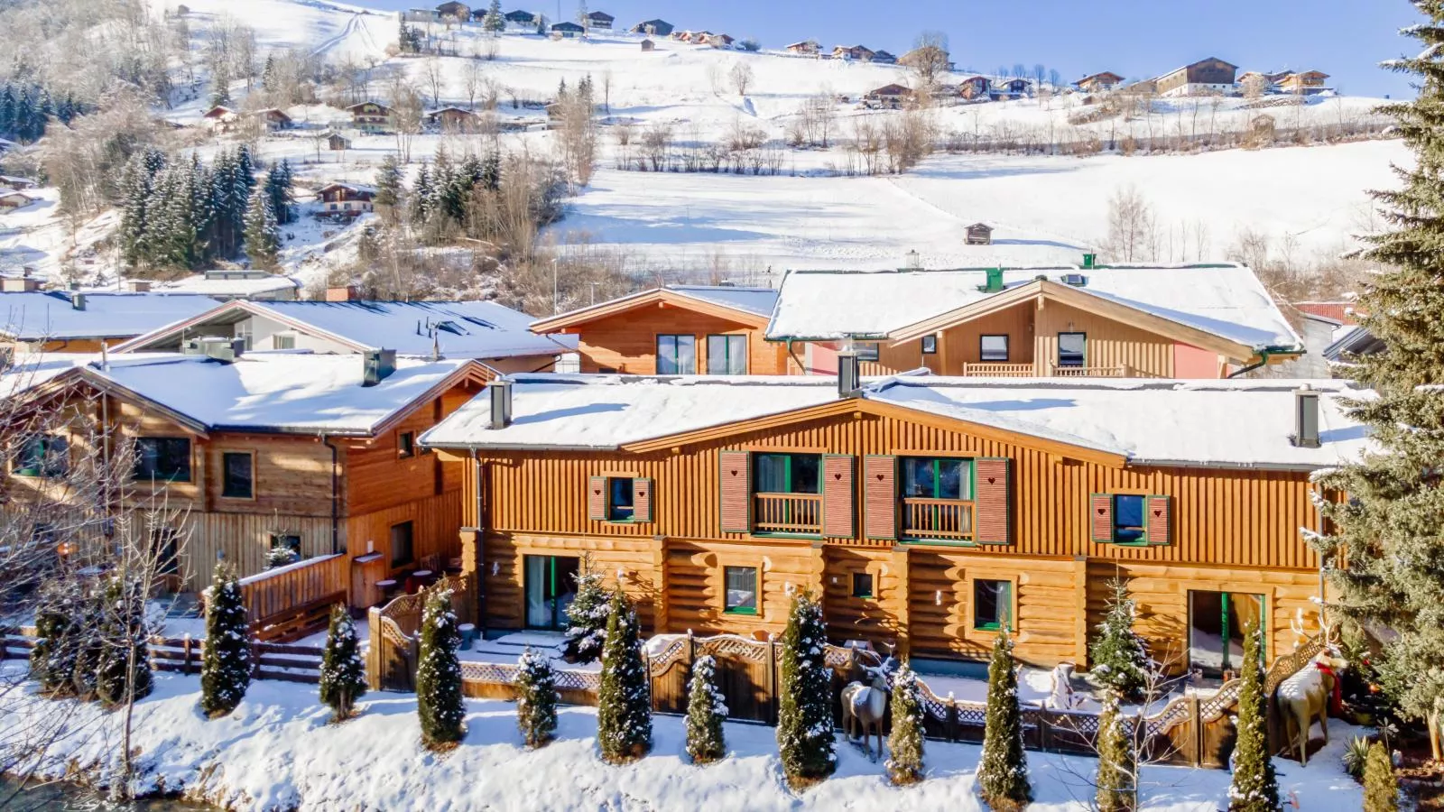 Nature Lodge Kaprun XL-Exterieur winter