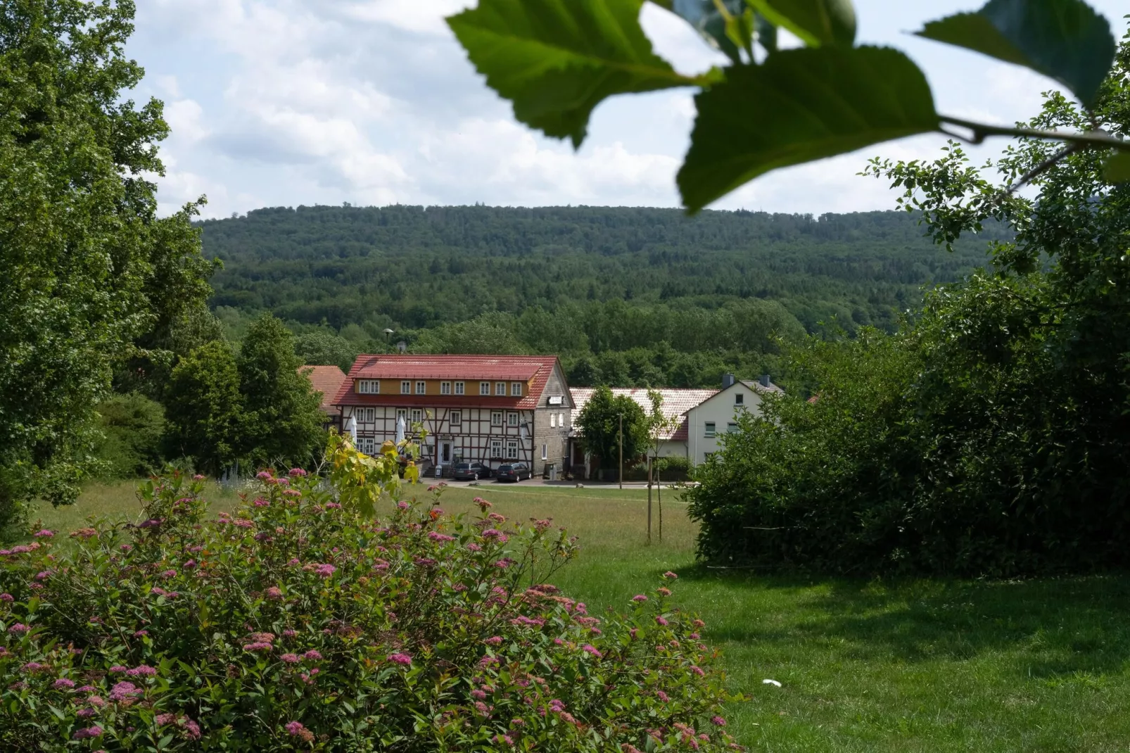 Ferienwohnung zum Märchenwald-Gebieden zomer 5km