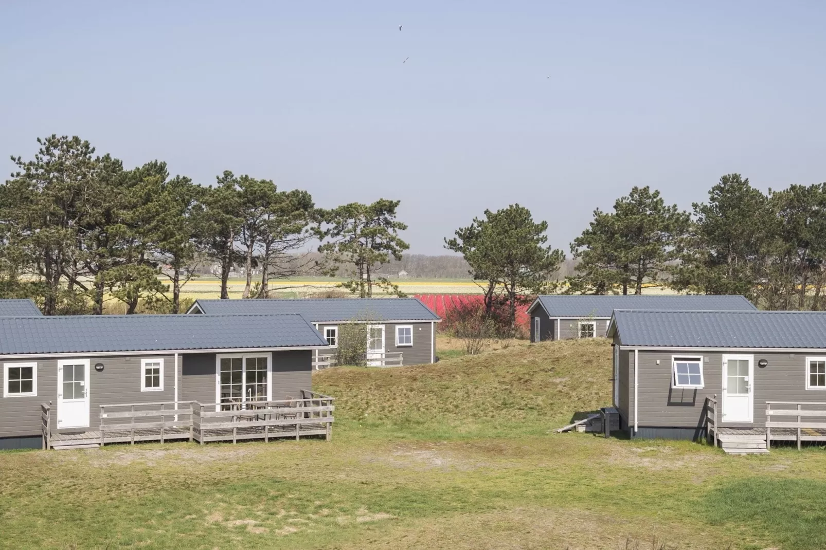 Vakantiepark Loodsmansduin 1-Buitenkant zomer