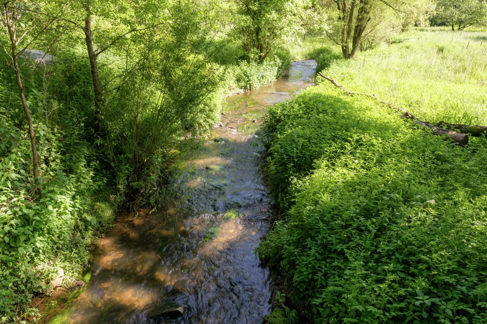 Evasion 8 personnes-Gebieden zomer 1km