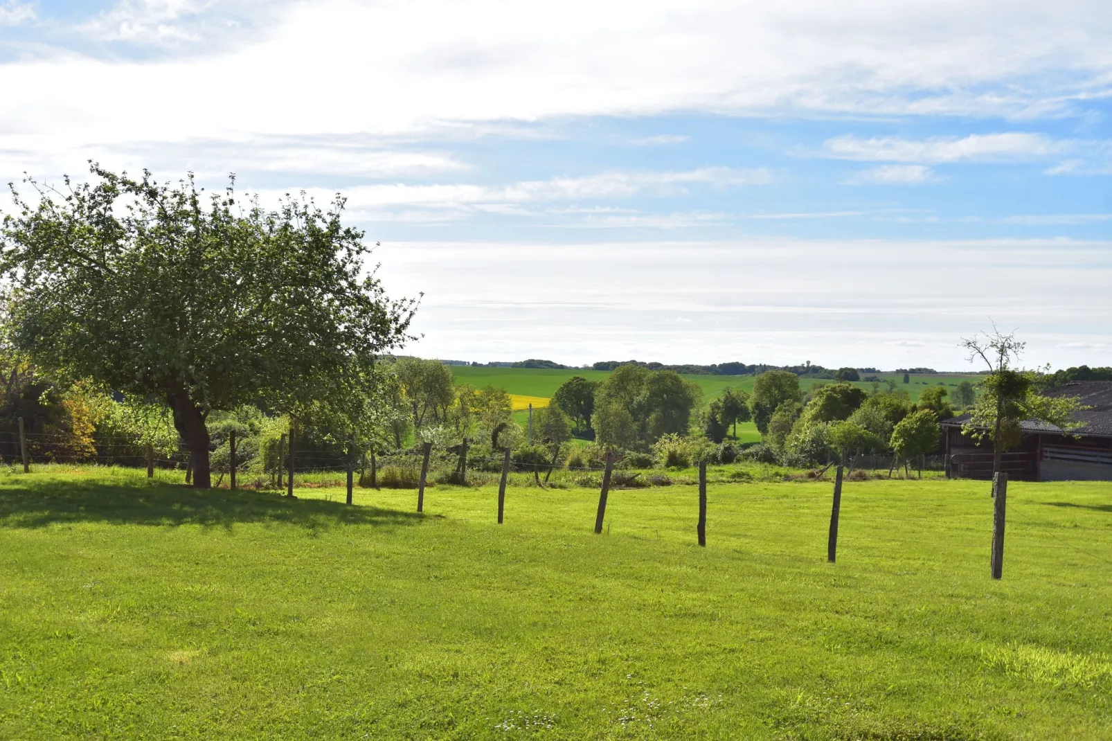 Maison de vacances St Maurice sur Aveyron-Tuinen zomer