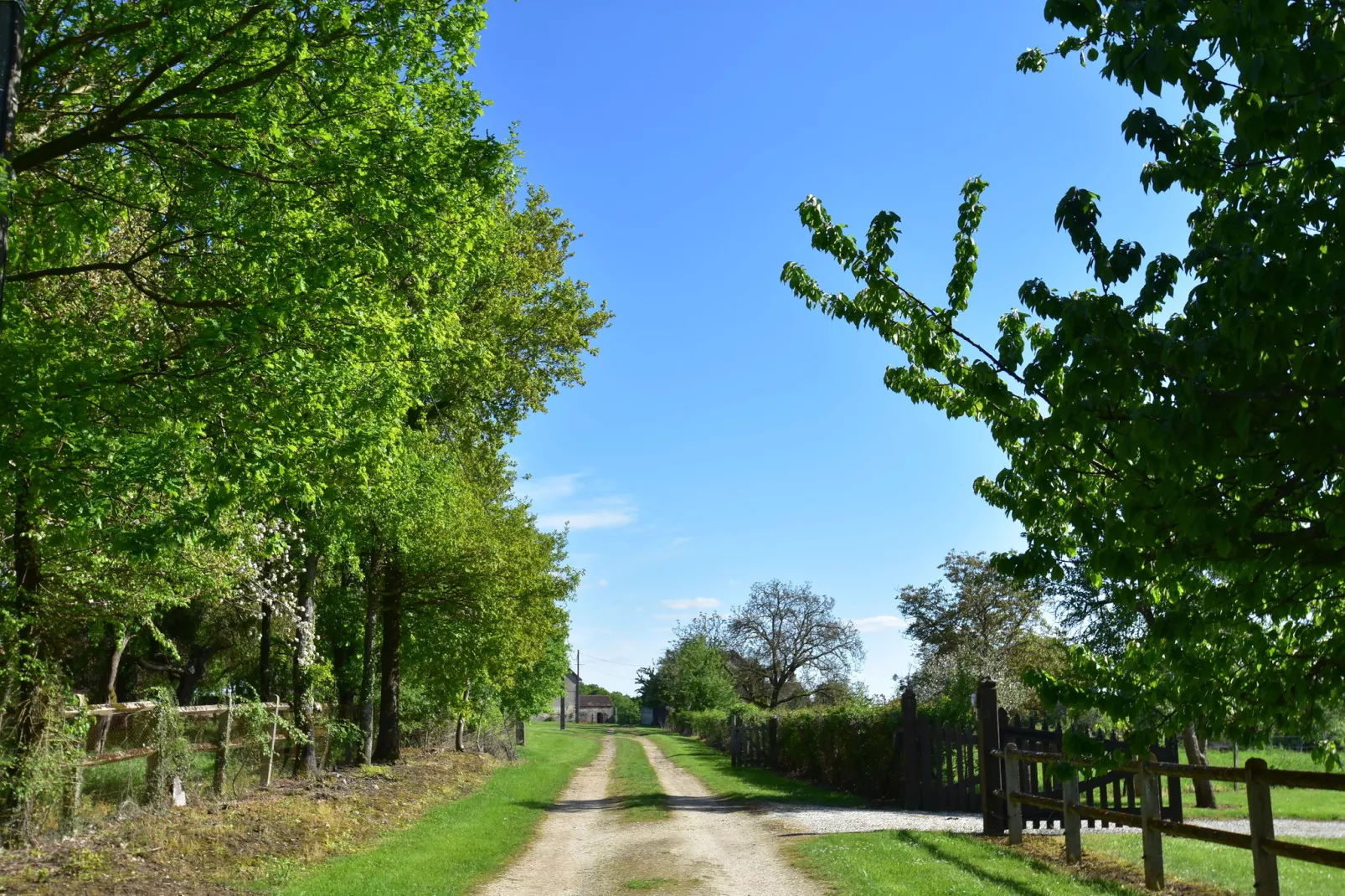 Maison de vacances St Maurice sur Aveyron-Gebieden zomer 1km