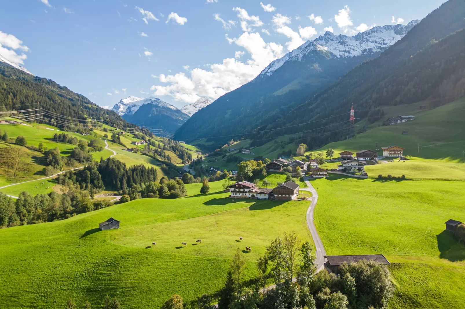 Apartment "Felbertal" & "Grasberge"-Uitzicht zomer