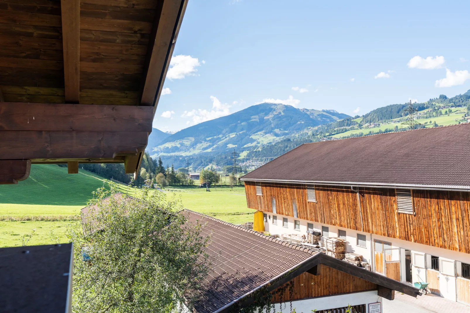 Apartment "Felbertal" & "Grasberge"-Uitzicht zomer