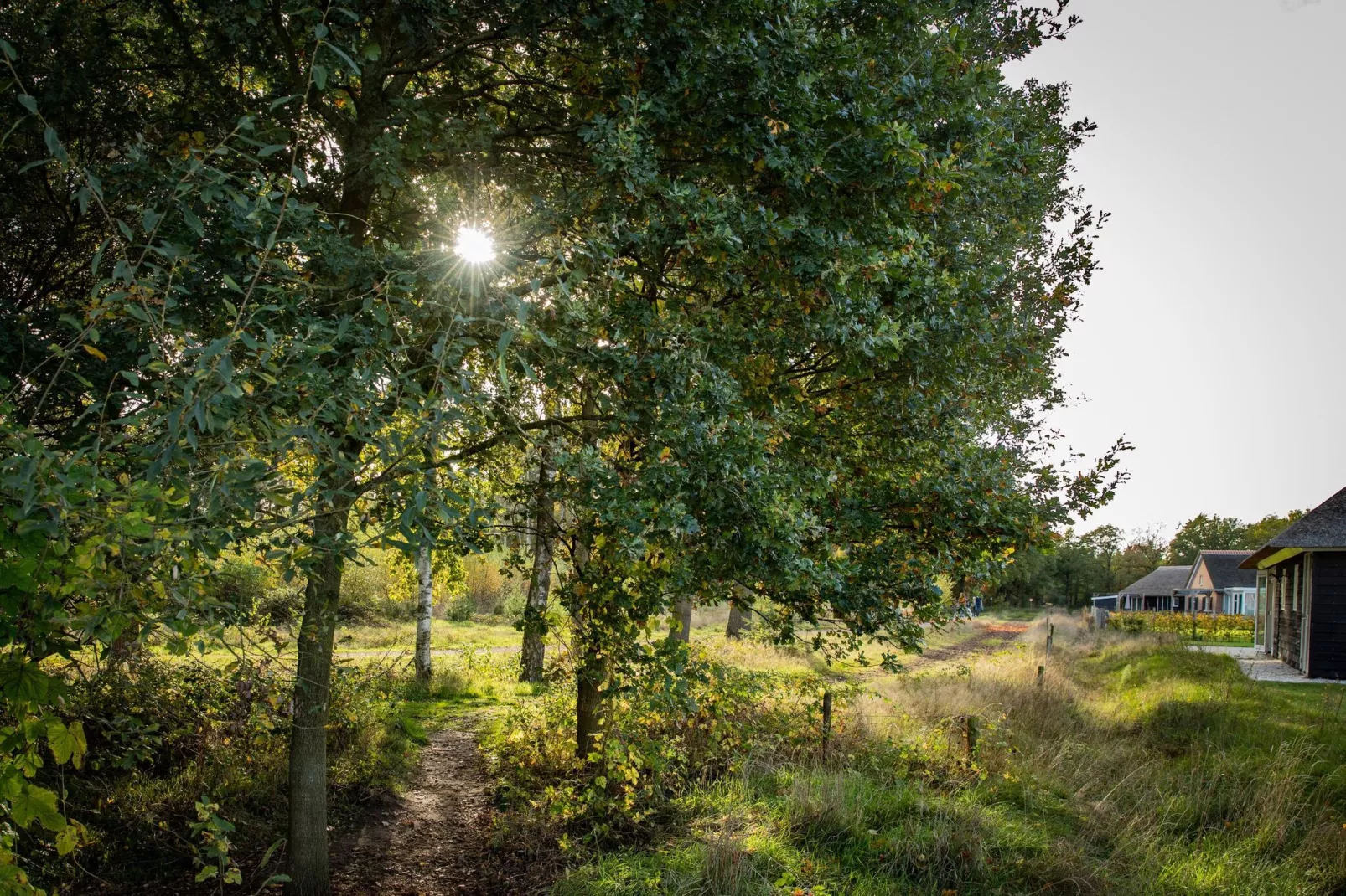 Vakantiepark De Heihorsten 1-Gebieden zomer 1km