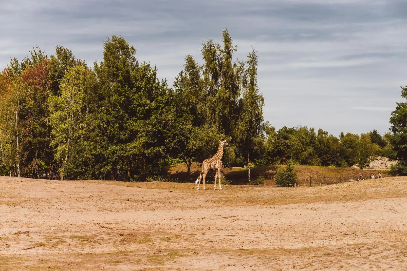 Vakantiepark De Heihorsten 1-Gebieden zomer 20km