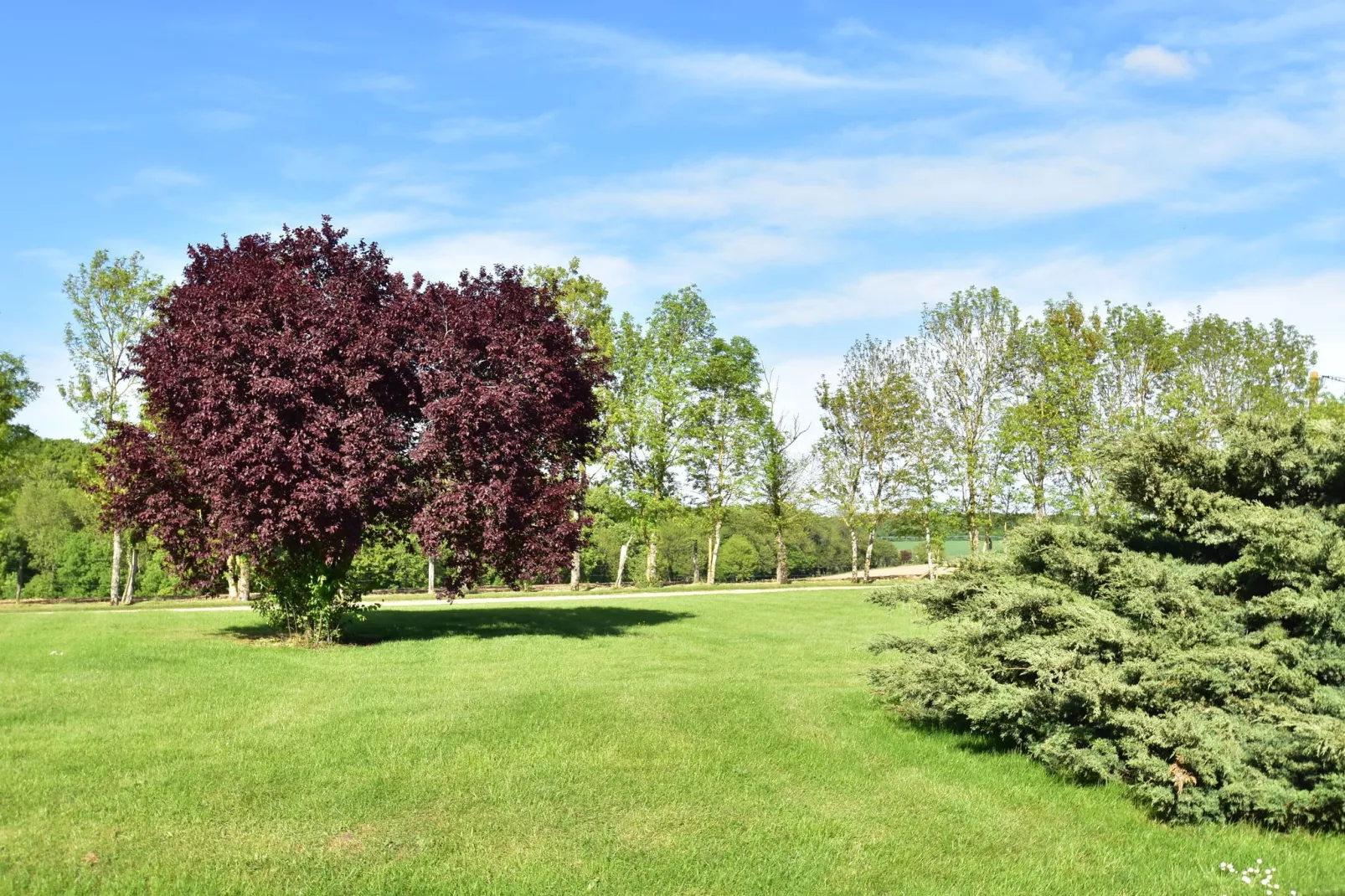 Maison de vacances  St Maurice sur Aveyron ferme-Tuinen zomer