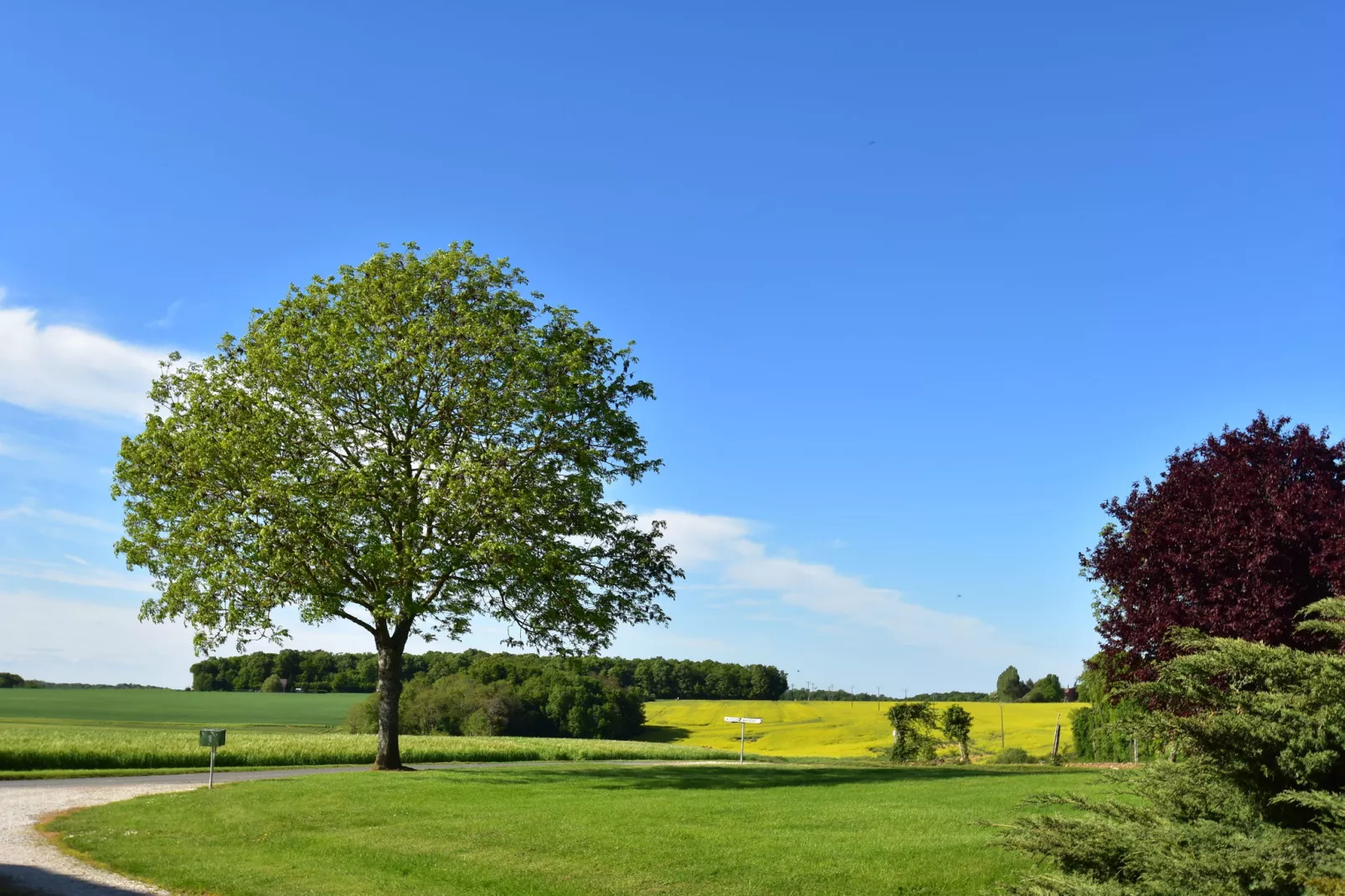 Maison de vacances  St Maurice sur Aveyron ferme-Gebieden zomer 1km